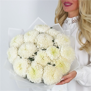 Букет из 15 одноголовых хризантем Магнум 5513