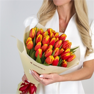 Букет из 35 красно-желтых тюльпанов (Денмарк) 5579
