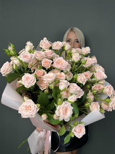 Роза кустовая кремовая 60 см Россия  (Лидия)