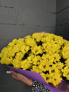 Букет из 15 желтых кустовых хризантем (Бакарди)