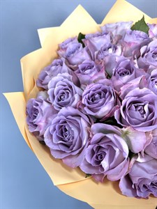 Роза фиолетовая  40 см (Кения)