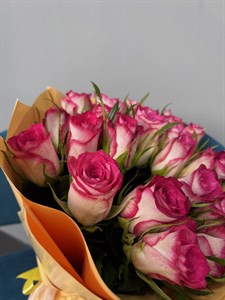 Роза бело-розовая  40 см (Кения)