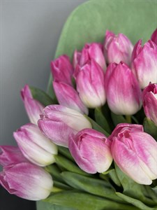 Тюльпан нежно розовый (Мемфис) 1 шт