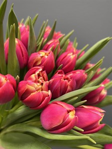 Тюльпан пионовидный розовый (Каламбус) 1 шт