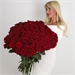 Букет из 101 розы Эквадор 60 см 2433 - фото 14664