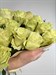 Букет из 15 белых роз Эквадор 70 см - фото 4984