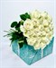 Букет из 25 белых роз Эквадор 70см - фото 5028