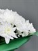 Букет из 15 белых хризантем (Балтика)  - фото 5636