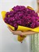 Букет из 15 фиолетовых хризантем (Пурпл Стар) - фото 5666