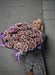 Букет из 25 двухцветных кустовых хризантем ( Хайдар) - фото 5941