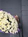 Букет из 25 кремовых кустовых хризантем (Просекко) - фото 5954