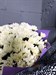 Букет из 25 кремовых кустовых хризантем (Просекко) - фото 5955