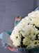 Букет из 15 кустовых кремовых хризантем (Просекко) - фото 5961