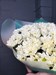 Букет из 15 кустовых кремовых хризантем (Просекко) - фото 5962