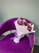 Сборный букет с розами 40 см "Желание" - фото 7542