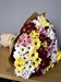Букет из 55 кустовых хризантем  цвет микс - фото 7568