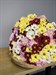 Букет из 55 кустовых хризантем  цвет микс - фото 7570