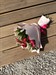 Сборный букет с розовой розой "Время любить" - фото 7954