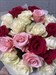 Букет из 25 роз Эквадор микс - фото 8647